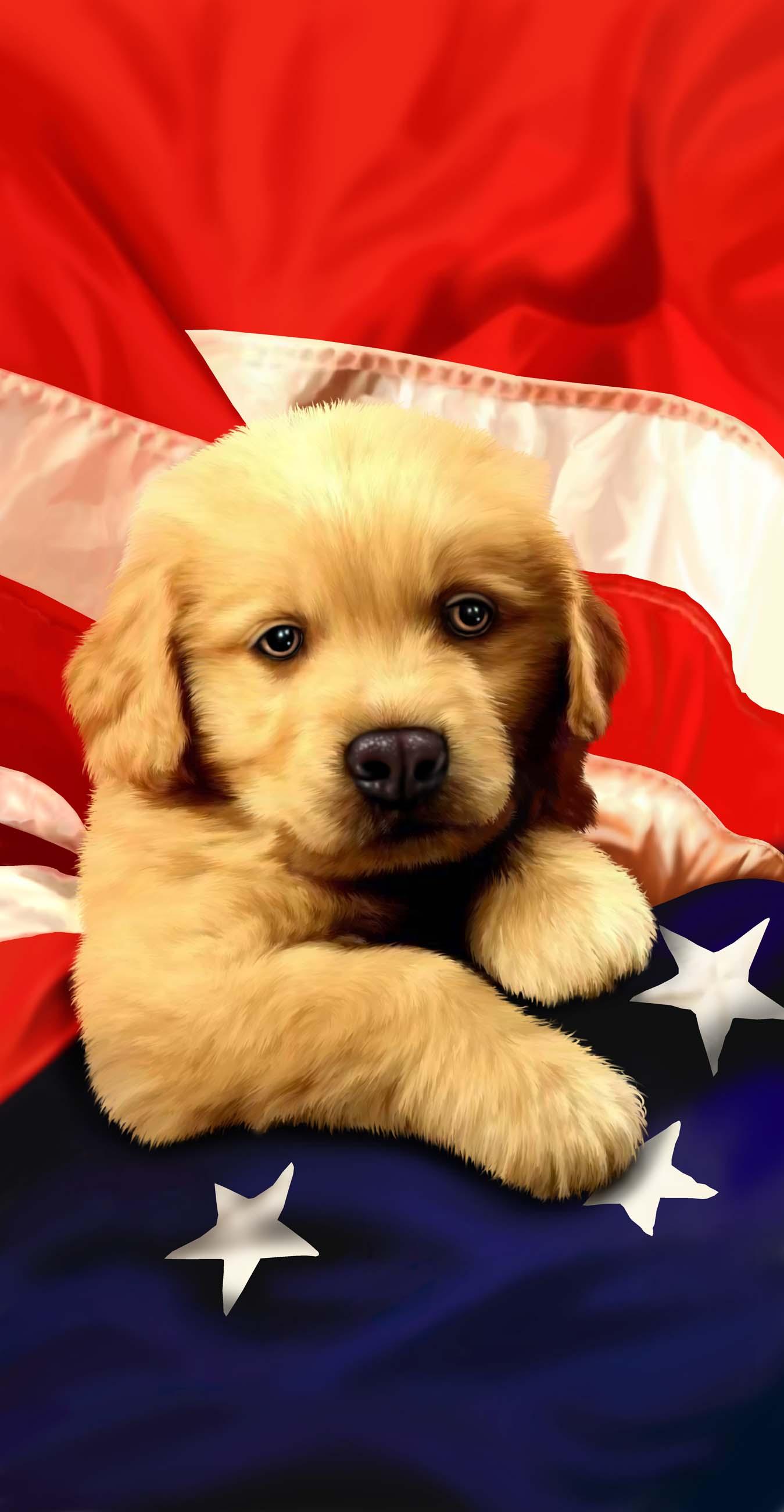 image-351051-PUPPYFLAG 4028.jpg